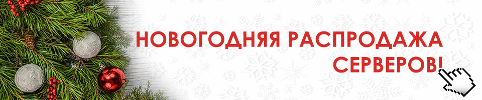 Специальное новогоднее предложение